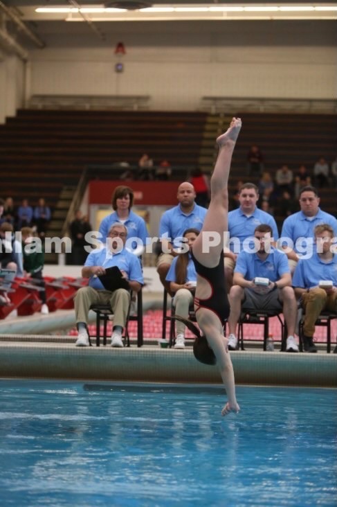 Junior Kate Carrell dives of the board. Photo courtesy of Kate Carrell.