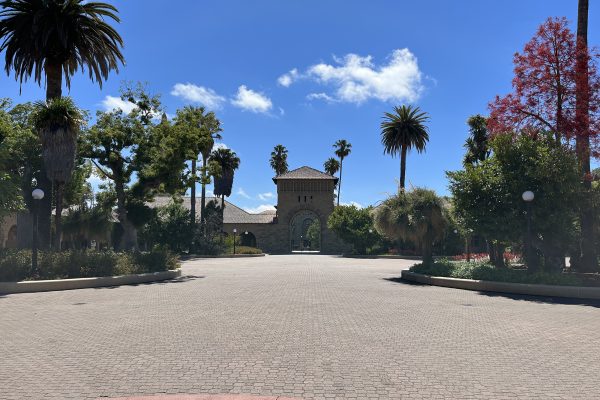 A sunny courtyard lined with palm trees on the campus of Stanford University. Taken during my visit in July 2023.