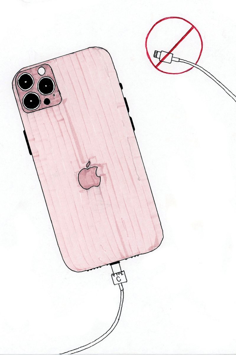 Artist Statement: I thought it would be more authentic to make the real iPhone color pink since that is the actual color. 