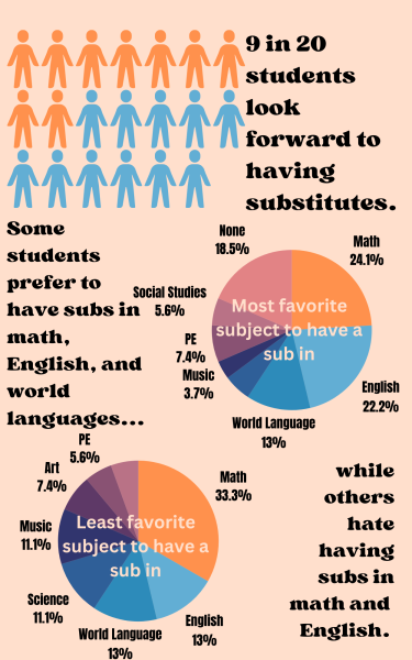 Many students have differing opinions on their substitute teachers. 