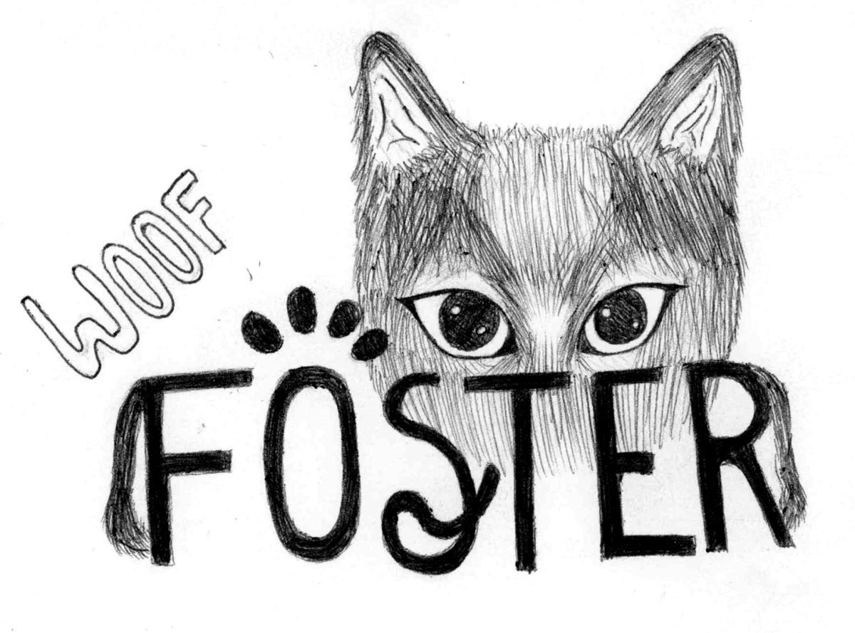 Artist Statement: I began by sketching out ideas on where I wanted the text and what I wanted to include to grab the viewers attention. After deciding on a sketch I outlined the text and added details such as the tail on the S and the paw on the O. I used a reference of a foster cat and decided I wanted to include him in the background. I used a ball point pen to fill in and shade. After outlining, it was scanned and added into the layout.