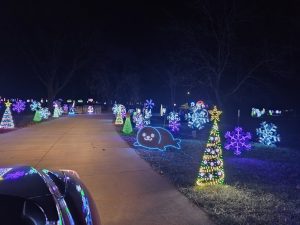 View out of the car window of light displays at Cunningham Lake