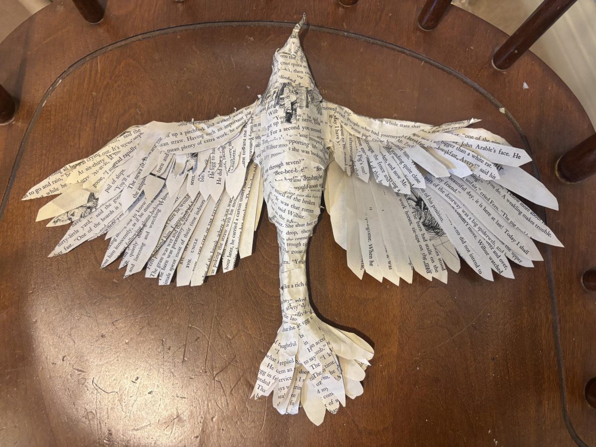 Paper mache bird by Shelby Neeley
Photo courtesy of Shelby Neely