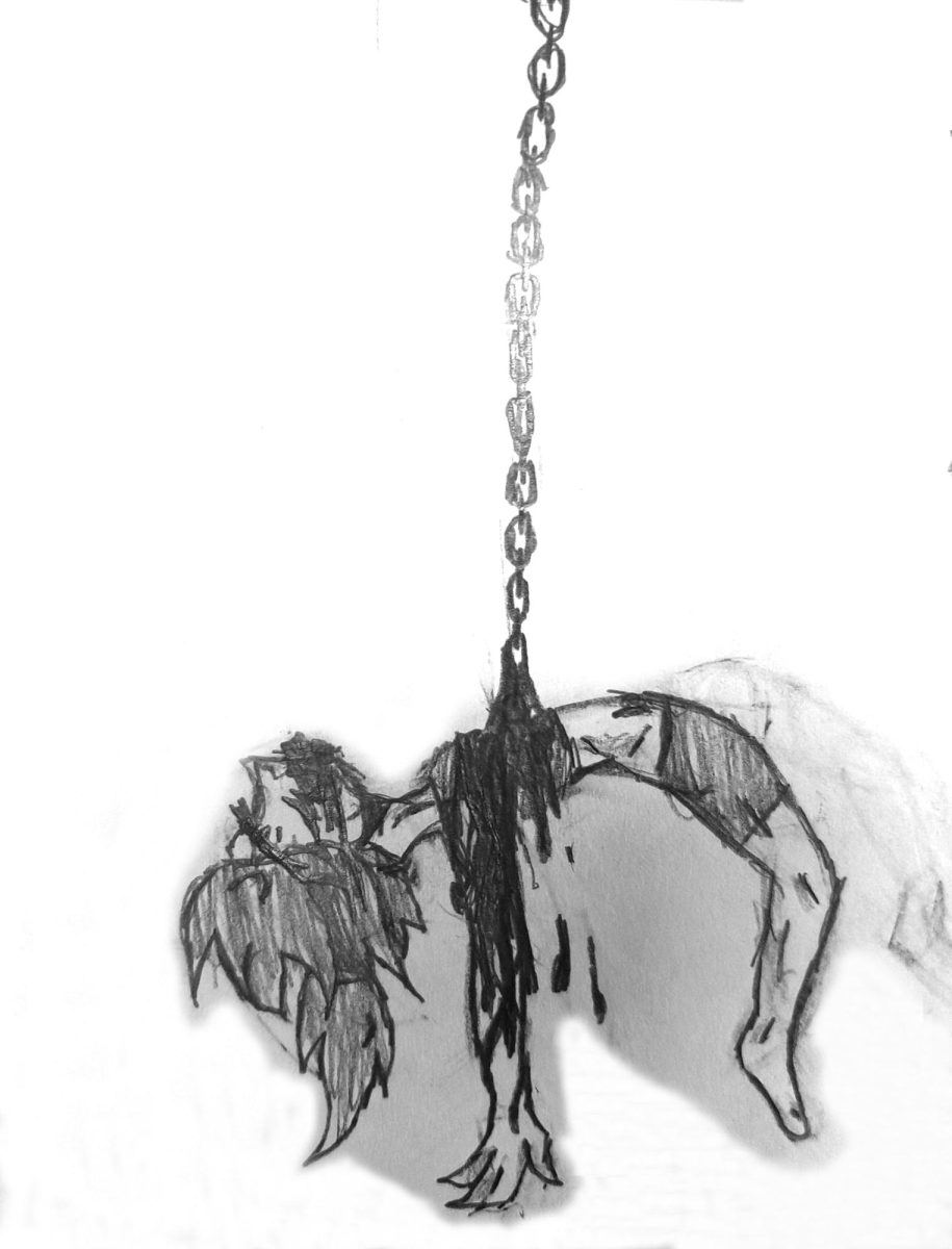 art feature by Anna Samuels copy