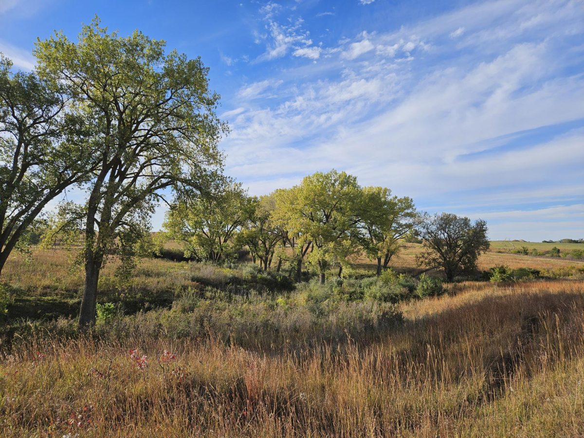 Trees at Spring Creek Prairie Audubon Center