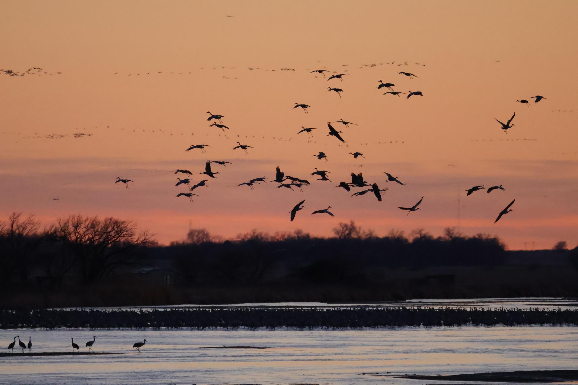 Sending off the cranes with some new clicks!