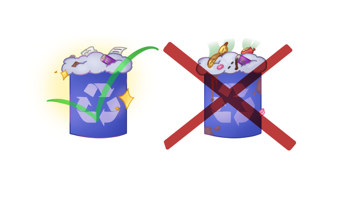 The goal was less to be super creative and vauge but more to be really direct and informative to show really how to take care of this new privilege and not to treat the bins like trash cans.
